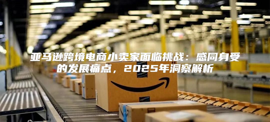 亚马逊跨境电商小卖家面临挑战：感同身受的发展痛点，2025年洞察解析