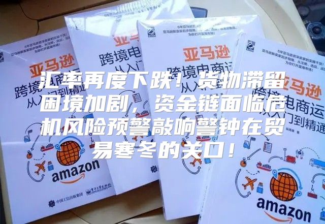 汇率再度下跌！货物滞留困境加剧，资金链面临危机风险预警敲响警钟在贸易寒冬的关口！
