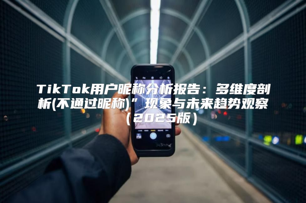 TikTok用户昵称分析报告：多维度剖析(不通过昵称)”现象与未来趋势观察2025版