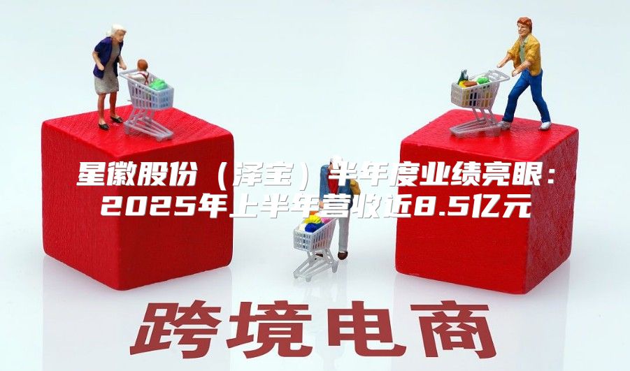 星徽股份泽宝半年度业绩亮眼：2025年上半年营收近8.5亿元