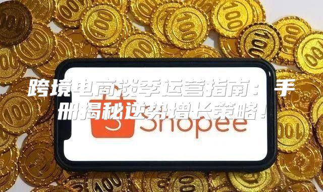 跨境电商淡季运营指南：手册揭秘逆势增长策略！
