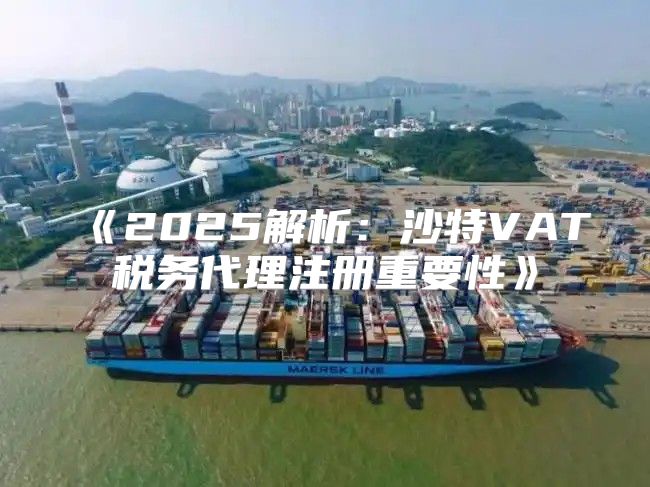 2025解析：沙特VAT税务代理注册重要性