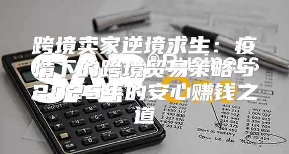 跨境卖家逆境求生：疫情下的跨境贸易策略与2025年的安心赚钱之道