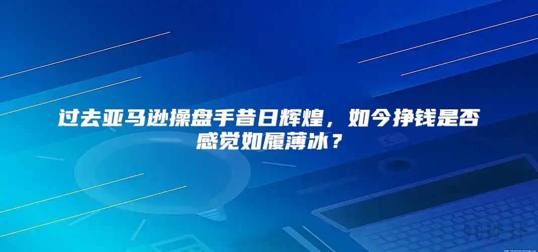 过去亚马逊操盘手昔日辉煌，如今挣钱是否感觉如履薄冰？