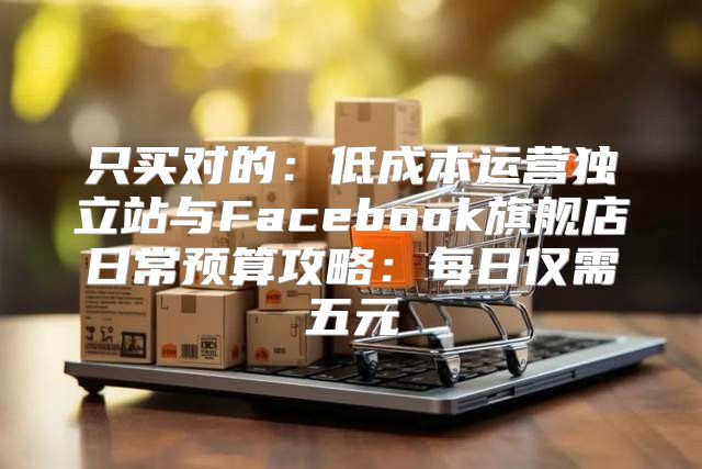 只买对的：低成本运营独立站与Facebook旗舰店日常预算攻略：每日仅需五元