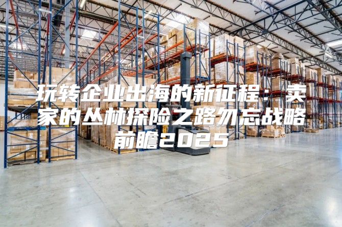 玩转企业出海的新征程：卖家的丛林探险之路勿忘战略前瞻2025