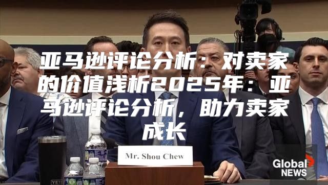 亚马逊评论分析：对卖家的价值浅析2025年：亚马逊评论分析，助力卖家成长