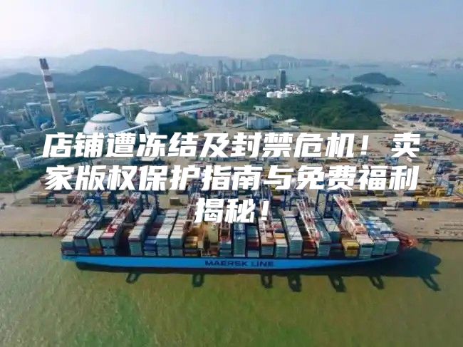 店铺遭冻结及封禁危机！卖家版权保护指南与免费福利揭秘！