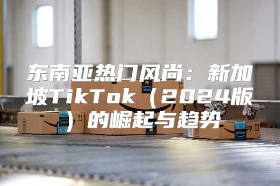 东南亚热门风尚：新加坡TikTok2025版的崛起与趋势