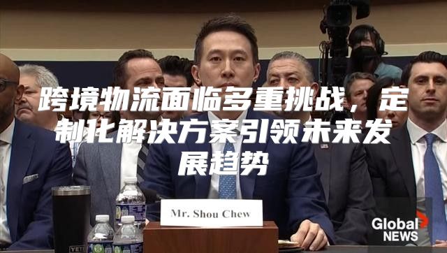 跨境物流面临多重挑战，定制化解决方案引领未来发展趋势