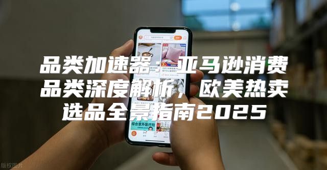 品类加速器：亚马逊消费品类深度解析，欧美热卖选品全景指南2025