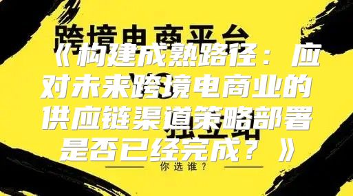 构建成熟路径：应对未来跨境电商业的供应链渠道策略部署是否已经完成？