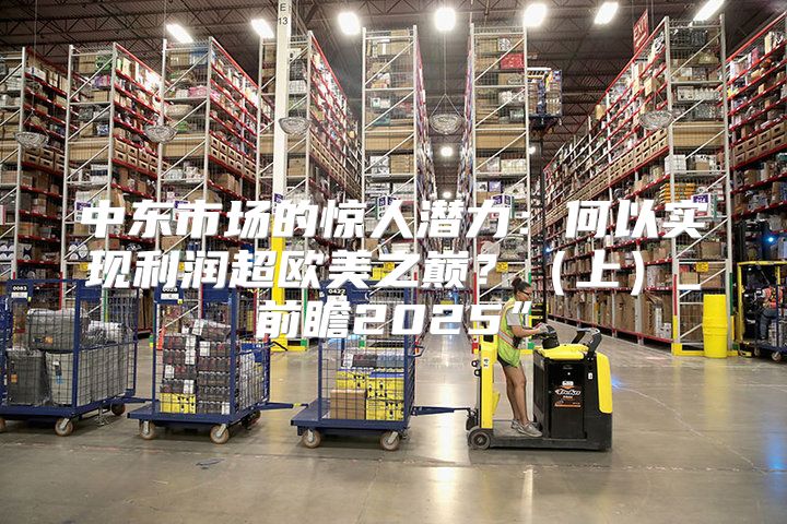中东市场的惊人潜力：何以实现利润超欧美之巅？上_前瞻2025”