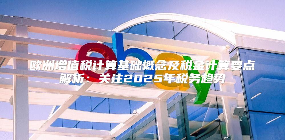 欧洲增值税计算基础概念及税金计算要点解析：关注2025年税务趋势
