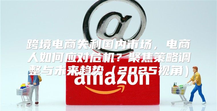 跨境电商失利国内市场，电商人如何应对危机？聚焦策略调整与未来趋势2025视角