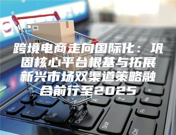 跨境电商走向国际化：巩固核心平台根基与拓展新兴市场双渠道策略融合前行至2025