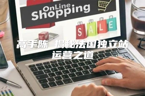 高手陈翀揭秘法国独立站运营之道