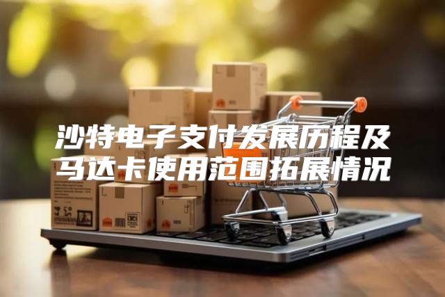 沙特电子支付发展历程及马达卡使用范围拓展情况
