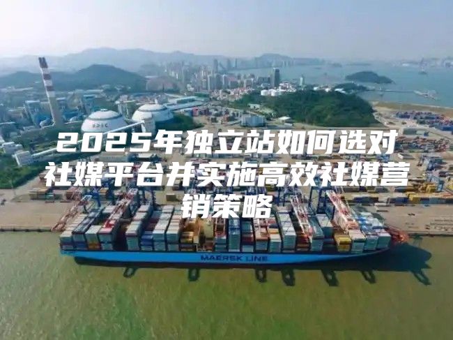 2025年独立站如何选对社媒平台并实施高效社媒营销策略