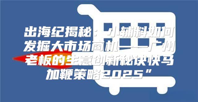 出海纪揭秘：小辅料如何发掘大市场商机——广州老板的生意创新秘诀快马加鞭策略2025”