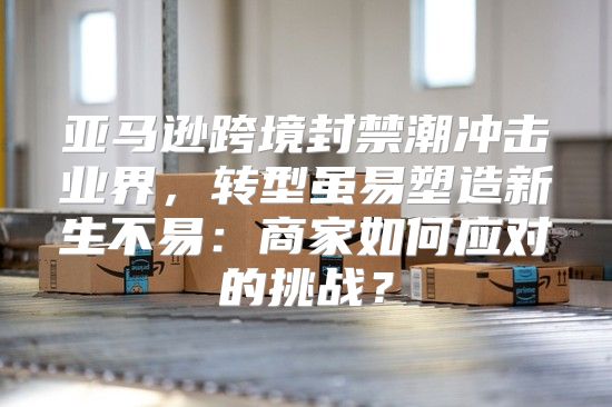 亚马逊跨境封禁潮冲击业界，转型虽易塑造新生不易：商家如何应对的挑战？