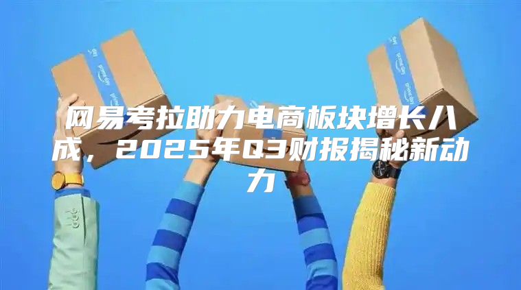 网易考拉助力电商板块增长八成，2025年Q3财报揭秘新动力