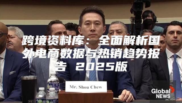 跨境资料库：全面解析国外电商数据与热销趋势报告 2025版
