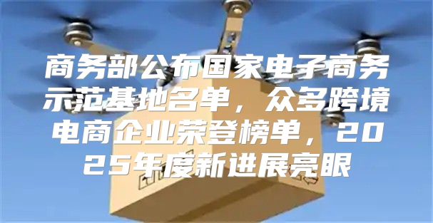 商务部公布国家电子商务示范基地名单，众多跨境电商企业荣登榜单，2025年度新进展亮眼