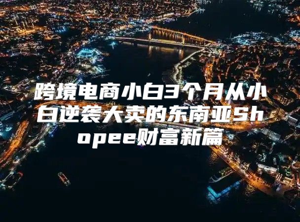 跨境电商小白3个月从小白逆袭大卖的东南亚Shopee财富新篇