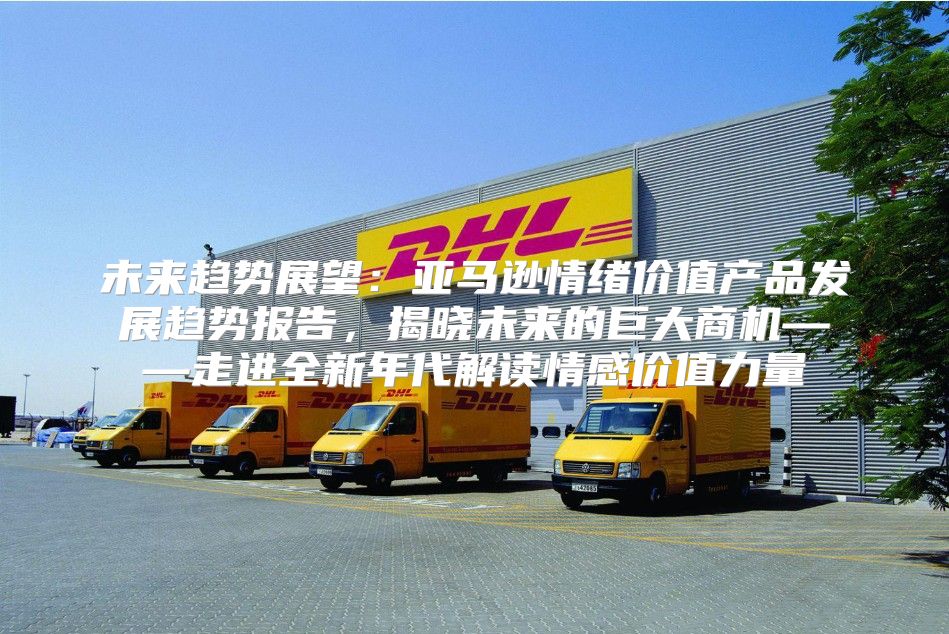 未来趋势展望：亚马逊情绪价值产品发展趋势报告，揭晓未来的巨大商机——走进全新年代解读情感价值力量