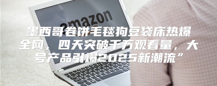 墨西哥卷饼毛毯狗豆袋床热爆全网，四天突破千万观看量，大号产品引爆2025新潮流”