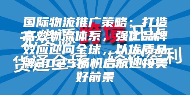 国际物流推广策略：打造高效物流体系，强化品牌效应迎向全球，以优质品牌2025扬帆启航迎接美好前景