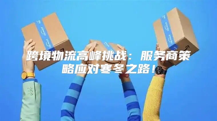 跨境物流高峰挑战：服务商策略应对寒冬之路！