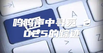 呜呜声中寻觅_2025的踪迹