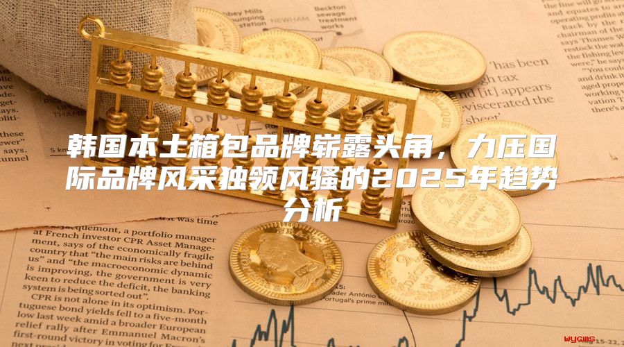 韩国本土箱包品牌崭露头角，力压国际品牌风采独领风骚的2025年趋势分析