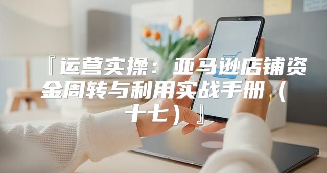 『运营实操：亚马逊店铺资金周转与利用实战手册十七』