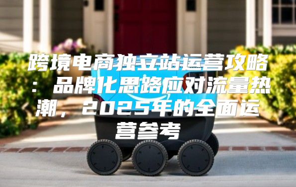 跨境电商独立站运营攻略：品牌化思路应对流量热潮，2025年的全面运营参考