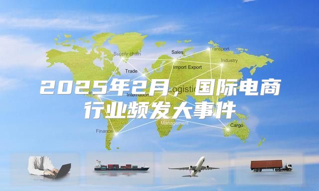 2025年2月，国际电商行业频发大事件