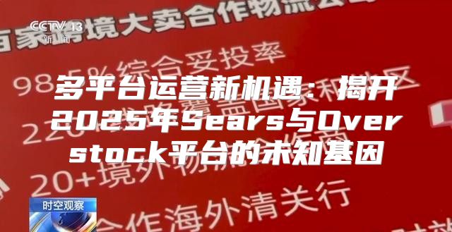 多平台运营新机遇：揭开2025年Sears与Overstock平台的未知基因