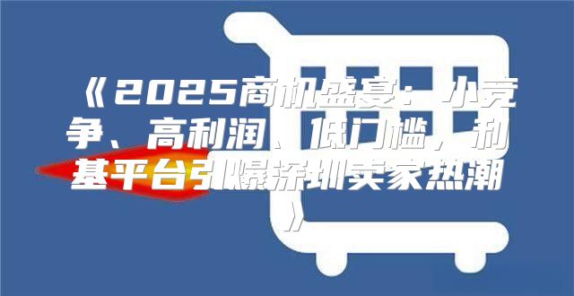 2025商机盛宴：小竞争、高利润、低门槛，利基平台引爆深圳卖家热潮
