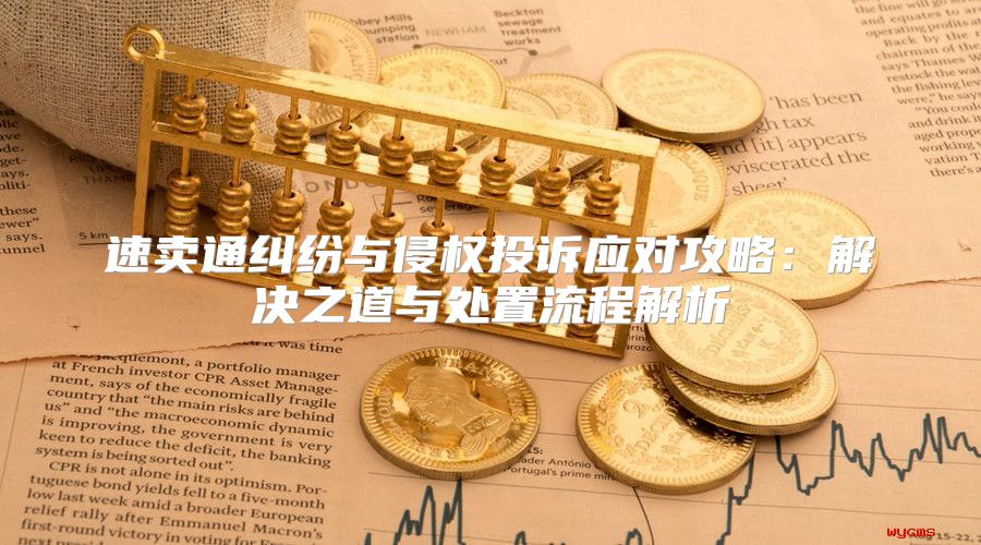 速卖通纠纷与侵权投诉应对攻略：解决之道与处置流程解析