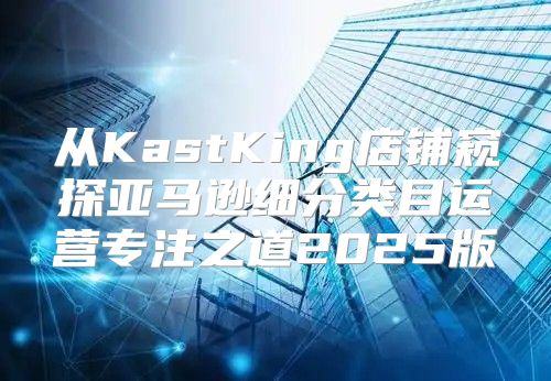 从KastKing店铺窥探亚马逊细分类目运营专注之道2025版