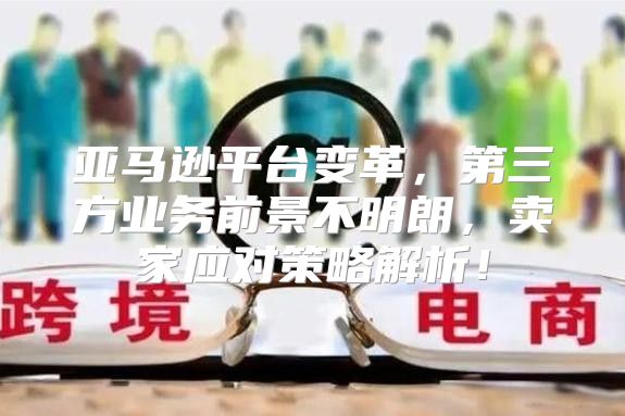 亚马逊平台变革，第三方业务前景不明朗，卖家应对策略解析！
