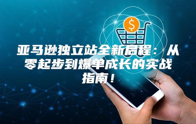 亚马逊独立站全新启程：从零起步到爆单成长的实战指南！