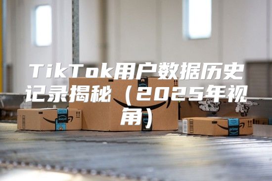 TikTok用户数据历史记录揭秘2025年视角