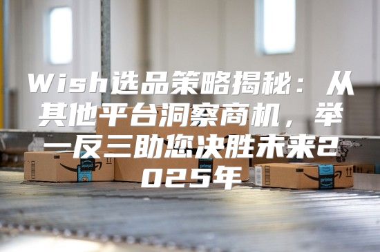 Wish选品策略揭秘：从其他平台洞察商机，举一反三助您决胜未来2025年