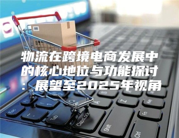 物流在跨境电商发展中的核心地位与功能探讨：展望至2025年视角