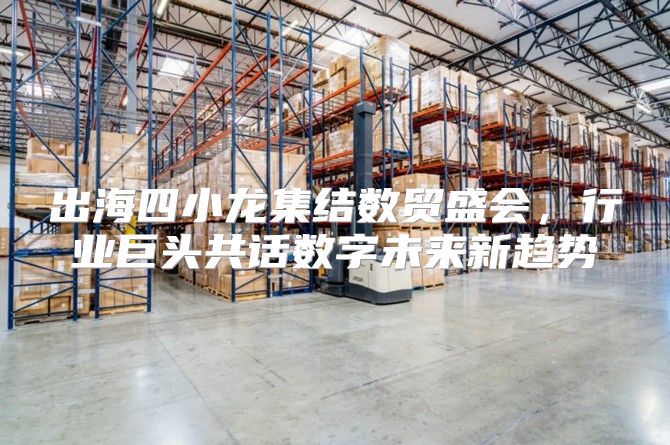 出海四小龙集结数贸盛会，行业巨头共话数字未来新趋势