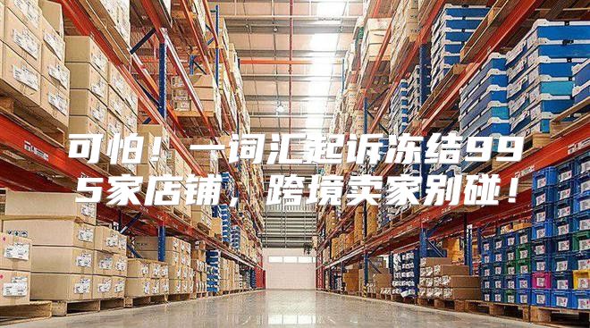 可怕！一词汇起诉冻结995家店铺，跨境卖家别碰！