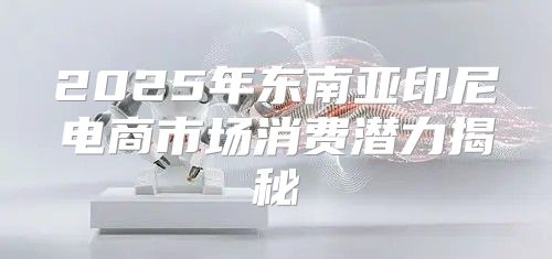 2025年东南亚印尼电商市场消费潜力揭秘